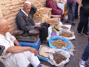 marrakech day trips in 5 Days Tour from Marrakech to Fes