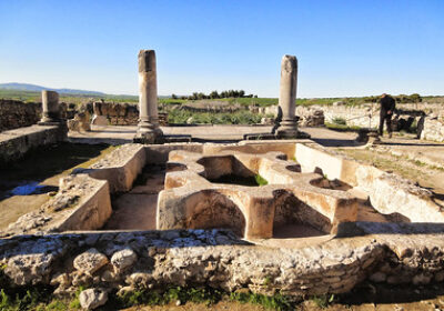 Excursión de un día desde Fez a volubilis y meknes