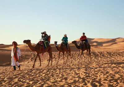 Camel Trekking (pasear en camello por el desierto del Sahara)