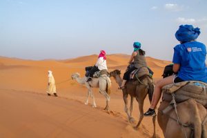 camel trek in merzouga on 2 Days Desert Trip From Marrakech To Merzouga