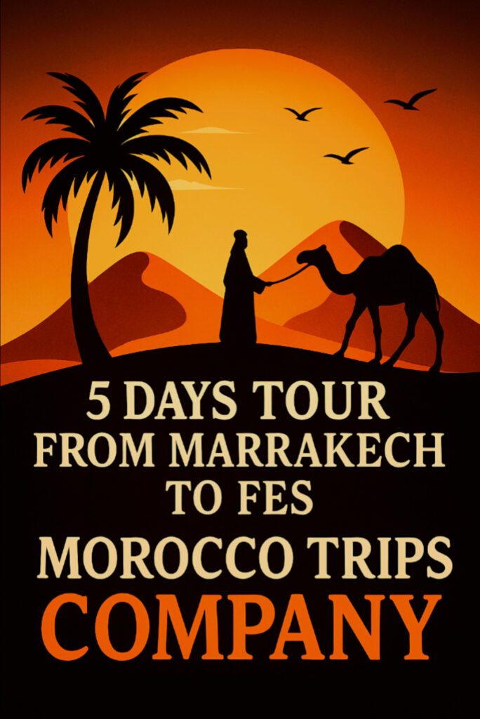 5 Days Tour from Marrakech to Fes 2026