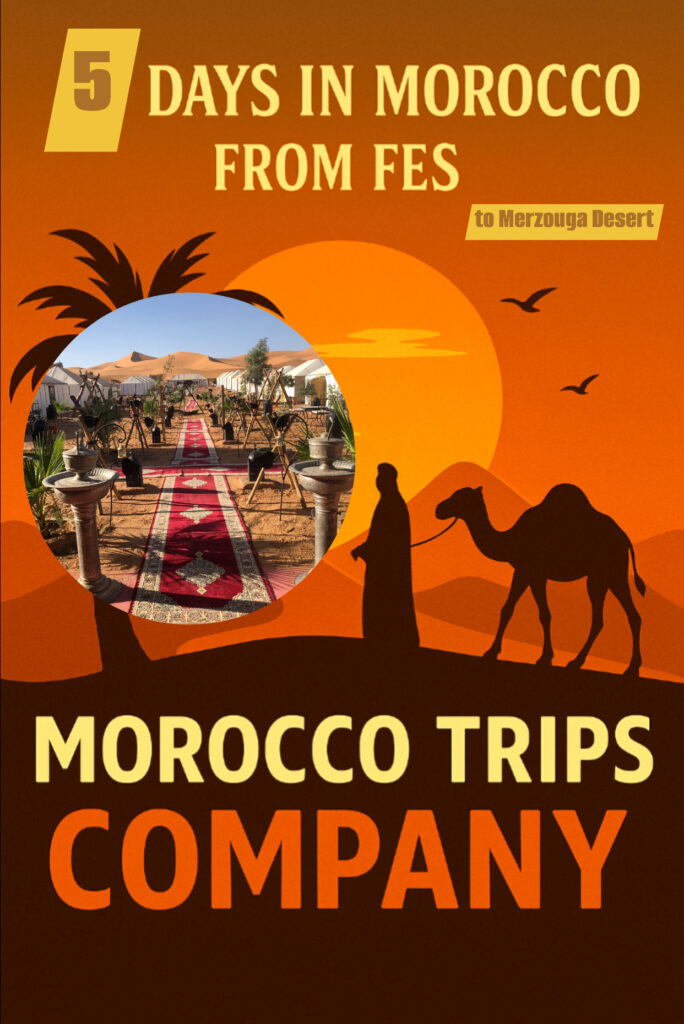 A promotional digital illustration for "Morocco Trips Company" featuring a desert scene at sunset. A person in traditional Moroccan attire leads a camel across sand dunes, with a tall palm tree on the left and birds flying in the sky. The warm orange and brown tones evoke a serene desert atmosphere. Bold text at the top reads "5 Days in Morocco from Fes 2026" and the company name is prominently displayed at the bottom.