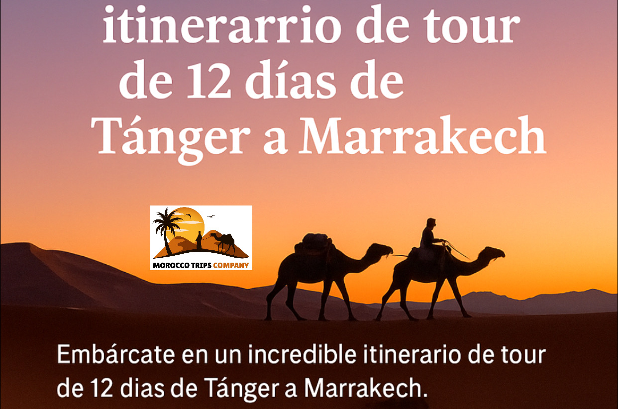 Tour 12 días de Tánger 2026: Embarca en un increíble tour de 12 días desde Tánger a Marrakech, un itinerario cuidadosamente diseñado para sumergirte en la mágica diversidad de Marruecos. Desde ciudades imperiales hasta paisajes desérticos y pueblos bereberes, cada etapa de este viaje te conectará con la esencia del país.