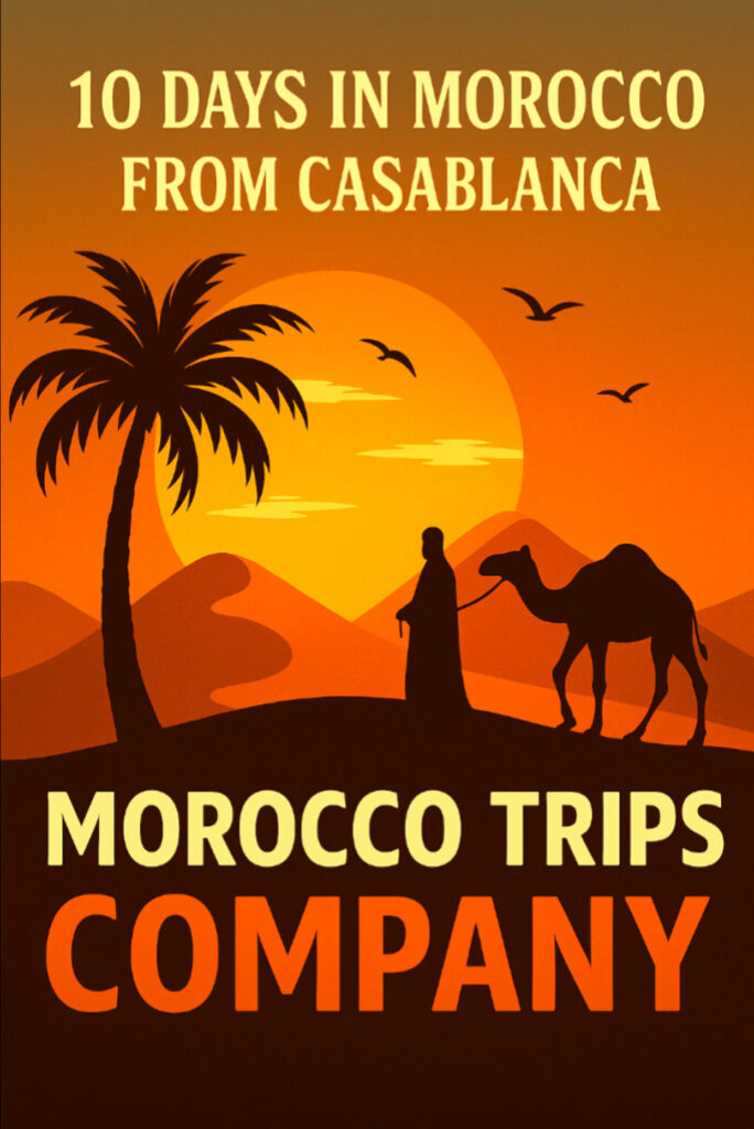 A promotional digital illustration for "Morocco Trips Company" featuring a desert scene at sunset. A person in traditional Moroccan attire leads a camel across sand dunes, with a tall palm tree on the left and birds flying in the sky. The warm orange and brown tones evoke a serene desert atmosphere. Bold text at the top reads "10 Days in Morocco from Casablanca 2026 2027" and the company name is prominently displayed at the bottom.