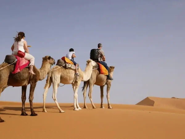 Marrakech to Fes Desert Tour 3 Days