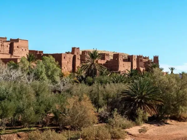 4 Day Tour from Marrakech to Fes