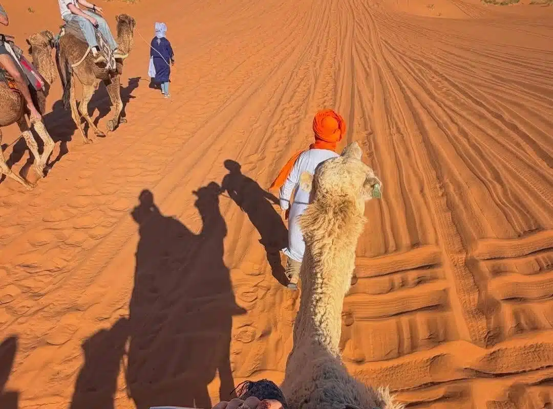 Merzouga Camel Ride