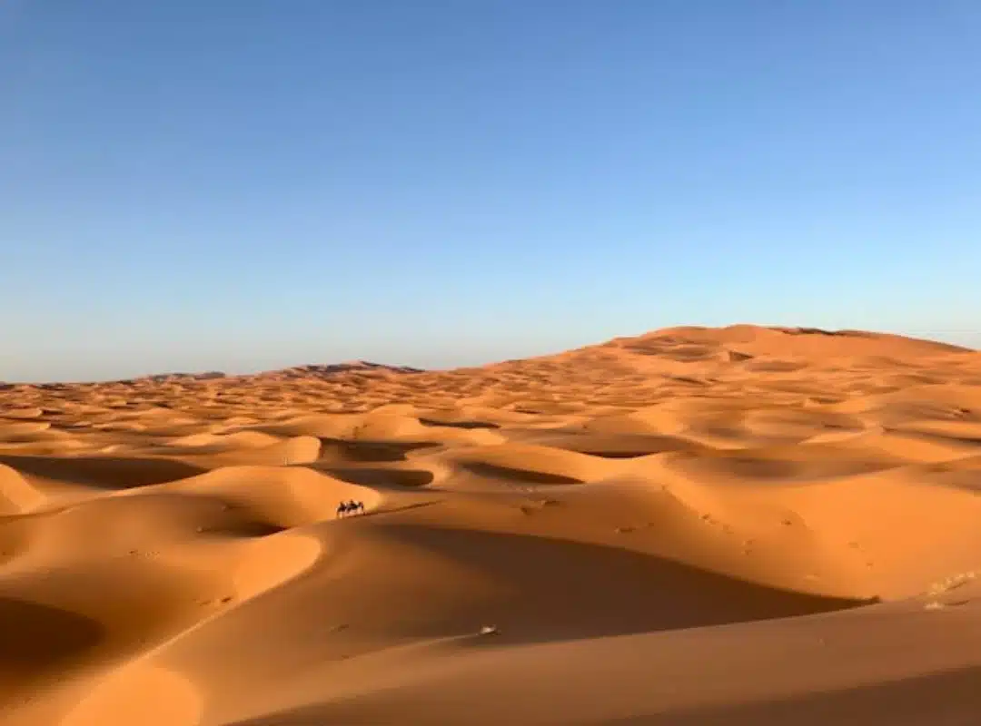 Merzouga Camel Ride