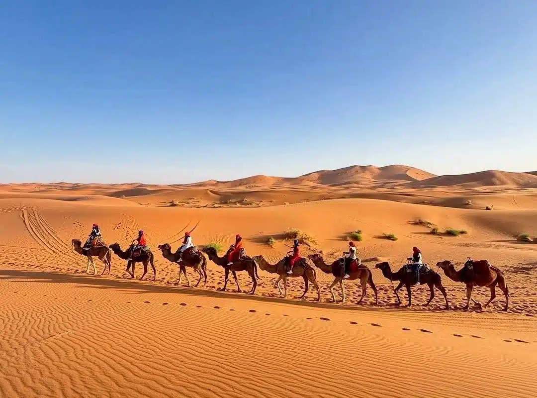 Merzouga Camel Ride