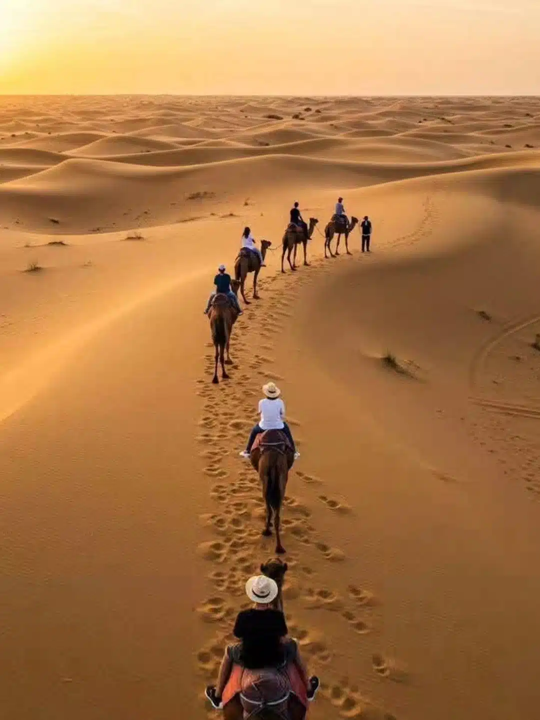 15 Days Desert tour from Fes