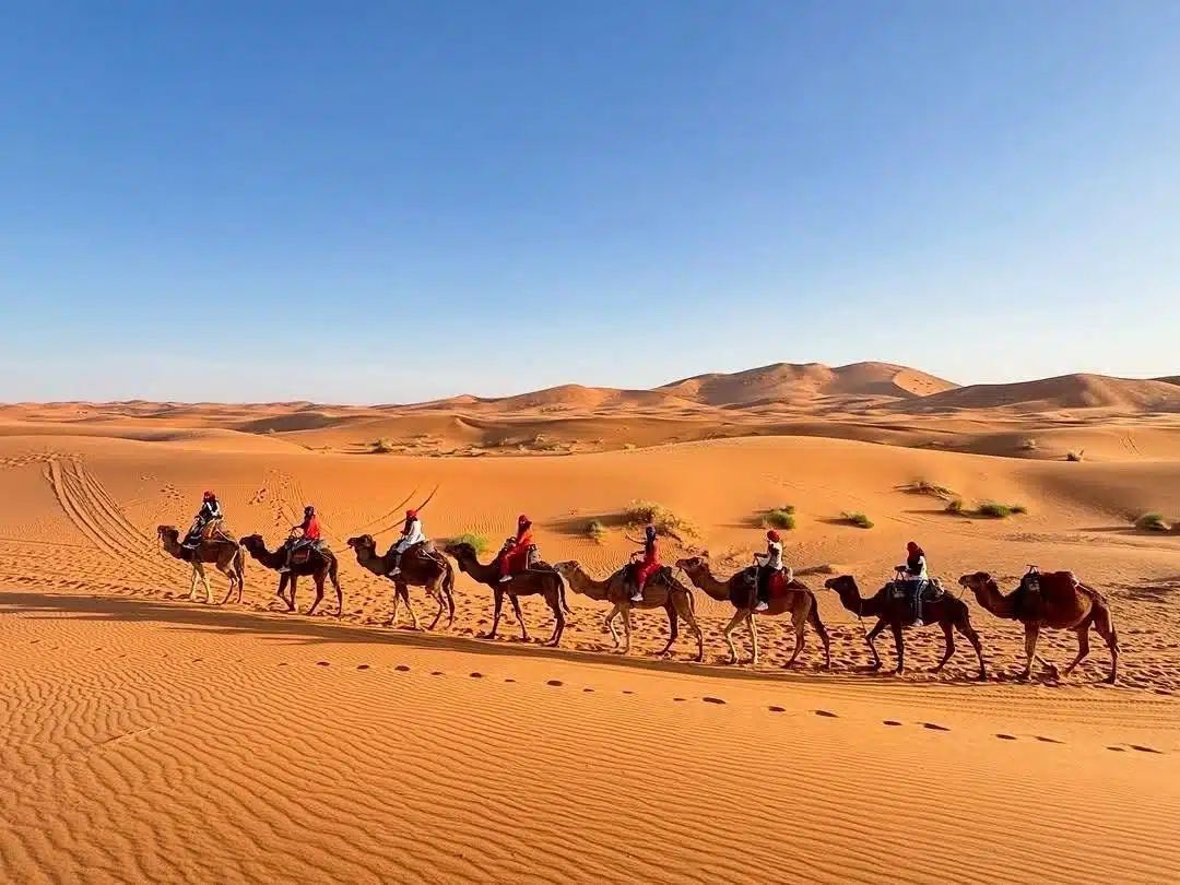 7 Days Tour From Agadir
