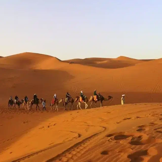 Best 7 Day Morocco Itinerary From Fes
