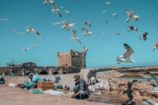 10 Days Tour from Tangier to Casablanca