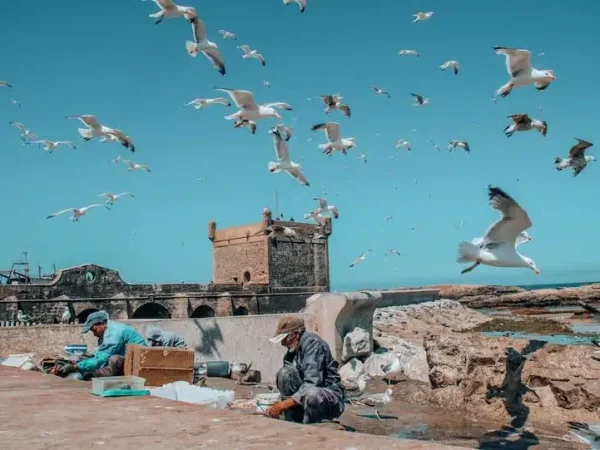 10 Days Tour from Tangier to Casablanca