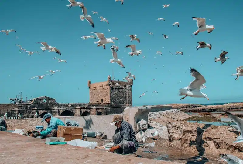 10 Days Tour from Tangier